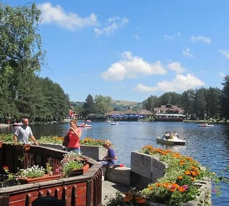 Daire Lang & Zlatibor